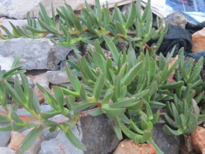 Kliknite pre zobrazenie veľkého obrázka