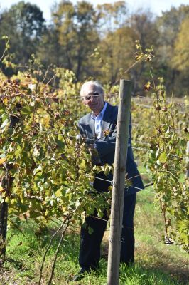 Klikni za sliku u punoj veličini